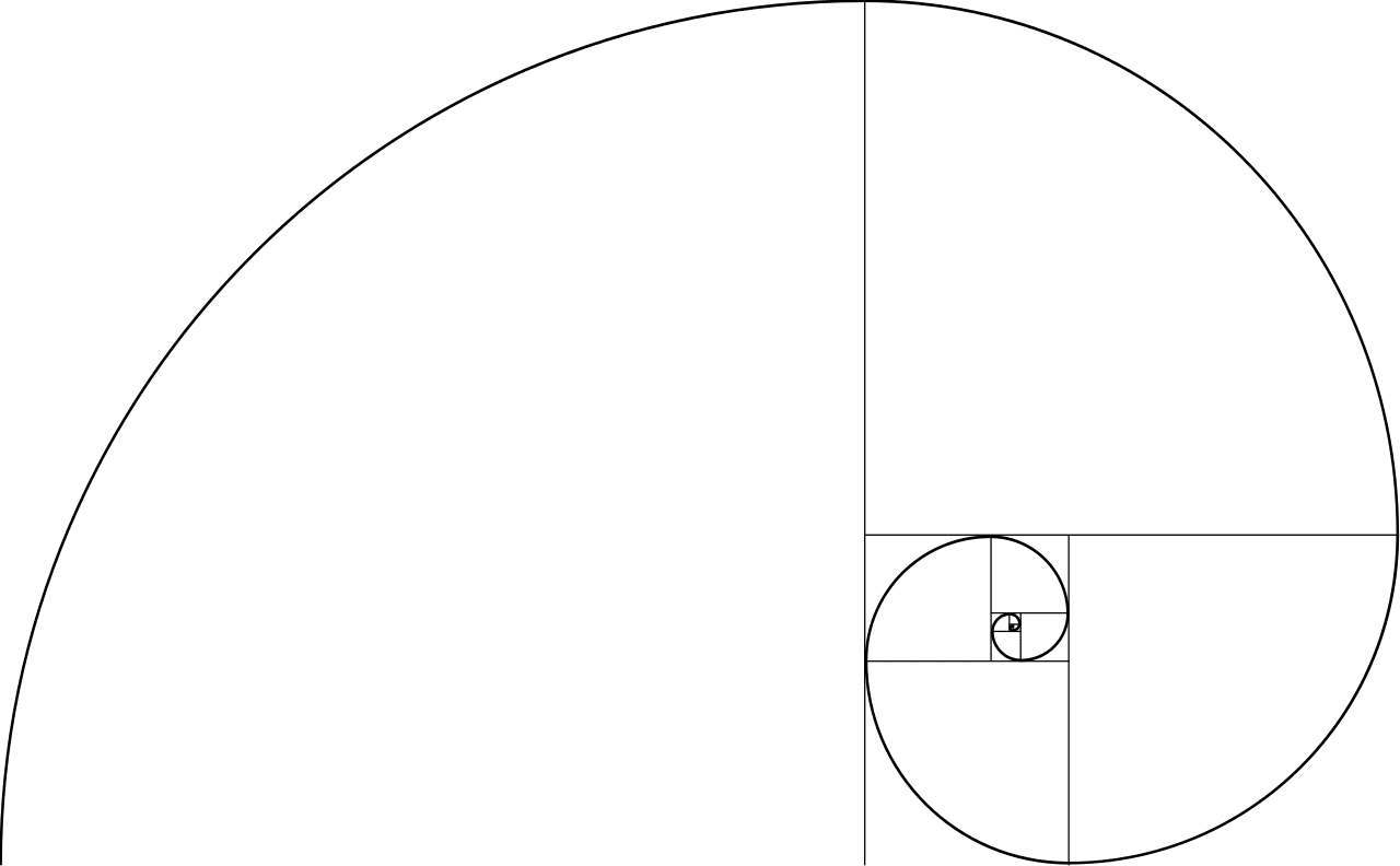 Die Fibonacci Spirale